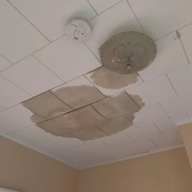 Ceiling Water Damage Repair in Yorktown, VA