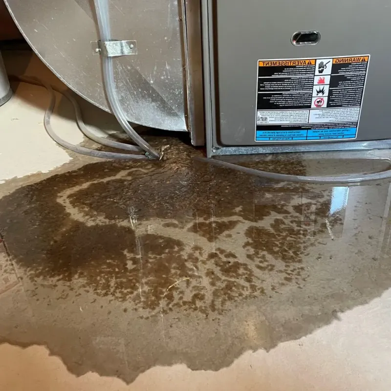 Pipe Burst and Leak Restoration in Yorktown, VA