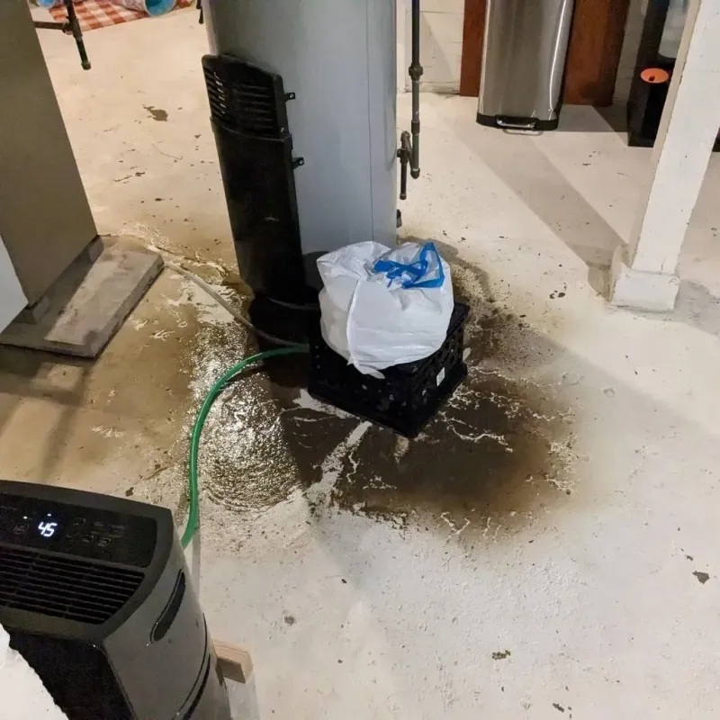 Sewage Backup Cleanup Service in Yorktown, VA